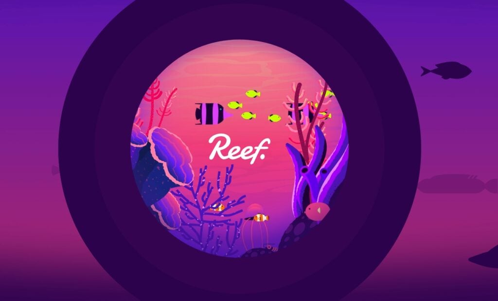 Reef Chain on Crypto Made Easy Podcast by Zypto
