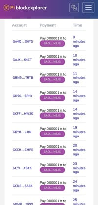 Watch Zypto's Pi Payment Gateway testing in real time